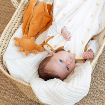 Birth cuddly toy - Dino Trois Kilos Sept - 2