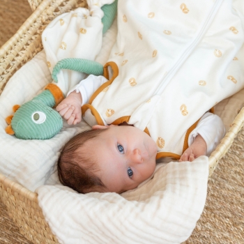 Bebé no seu saco de dormir com o seu peluche de dinossauro