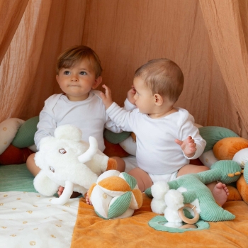 Deux bébés qui jouent dans leur espace délimité par la tresse décorative diplododo