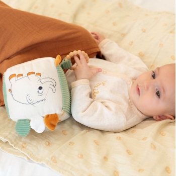 Bébé qui joue avec son cube d'éveil Bébé qui joue avec son cube d'éveil