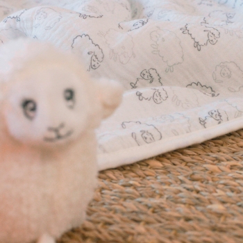 Couverture avec petit mouton présent