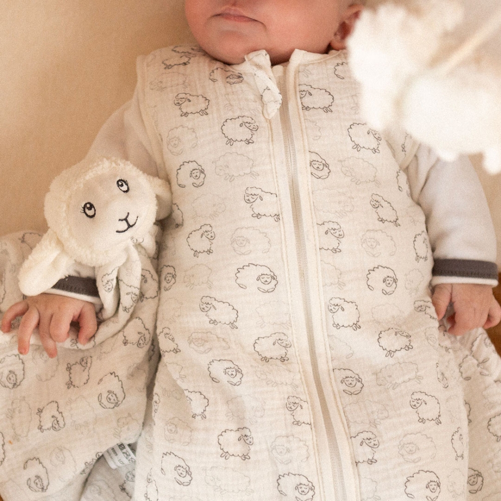 Bébé dans sa gigoteuse avec son doudou Bébé dans sa gigoteuse avec son doudou