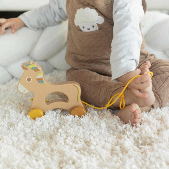 Baby-Holzspielzeug zum...
