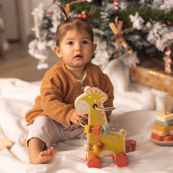 cofre 3 juguetes de estimulación de madera