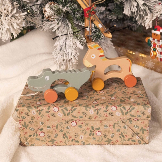 wooden pull-along toy