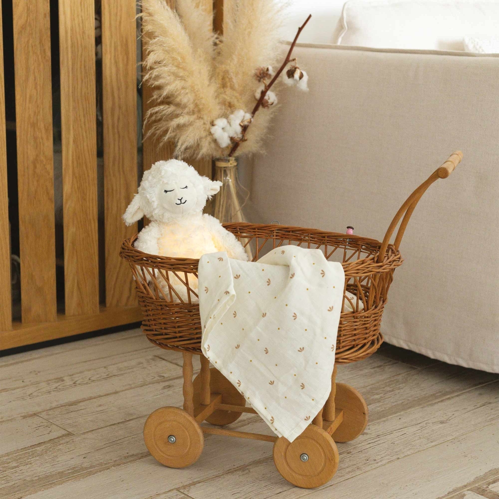 Luce notturna wooly nella sua culla con fasce. Luce notturna wooly nella sua culla con fasce.