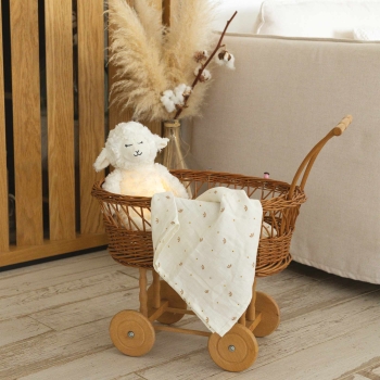Nachtlicht wooly in seinem Kinderwagen mit Windeln.