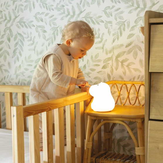 Connected hippopotamus night light