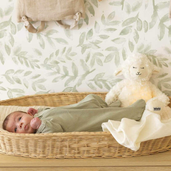 Zip-up cotton pajama - Sage