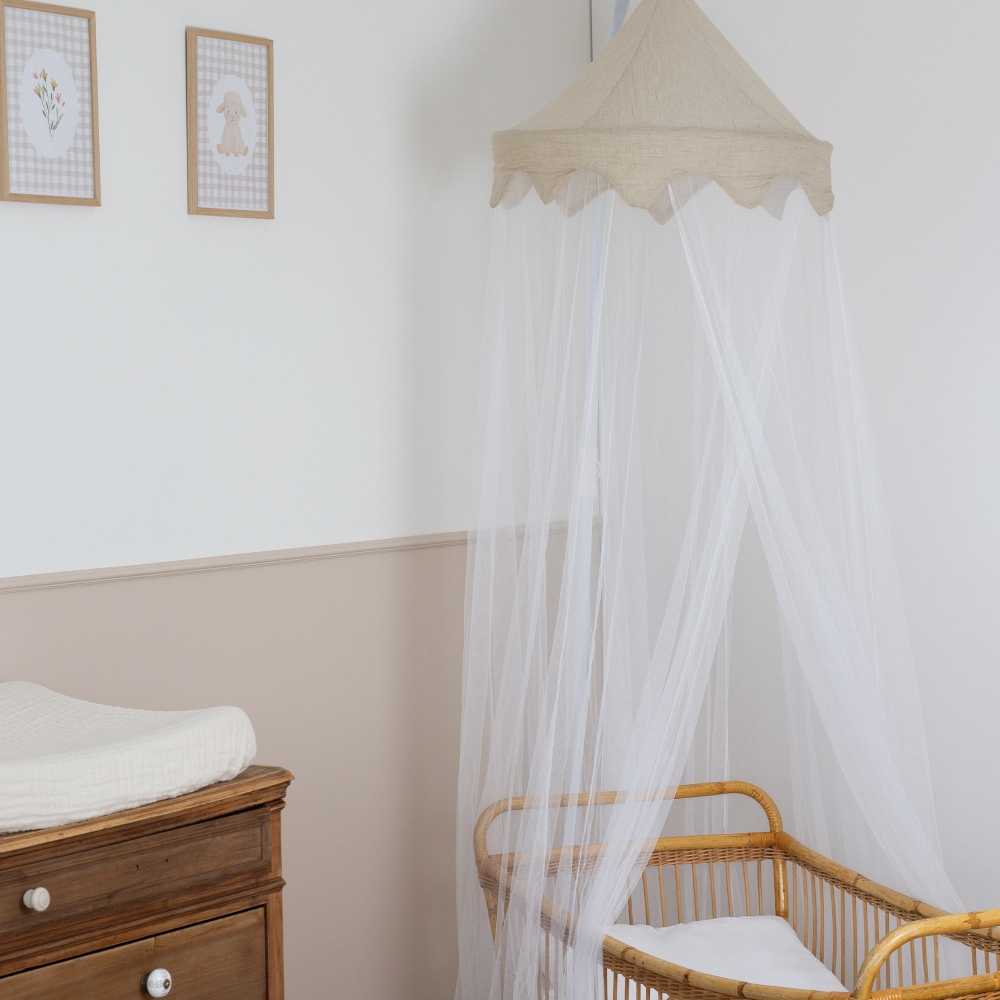 Bed canopy ceiling attachment