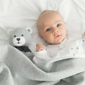 Doudou N'Ours Trois Kilos Sept - 2