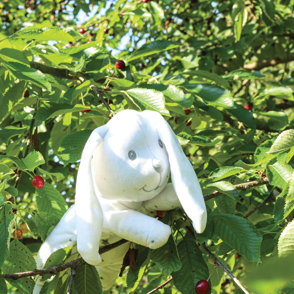 Three Kilos Seven Rabbit Beanbag Plush - 3 Three Kilos Seven Rabbit Beanbag Plush - 3