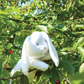 Peluche de coelho com bolinhas Trois Kilos Sept - 3