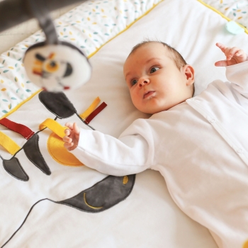 Alfombra de actividades Koala