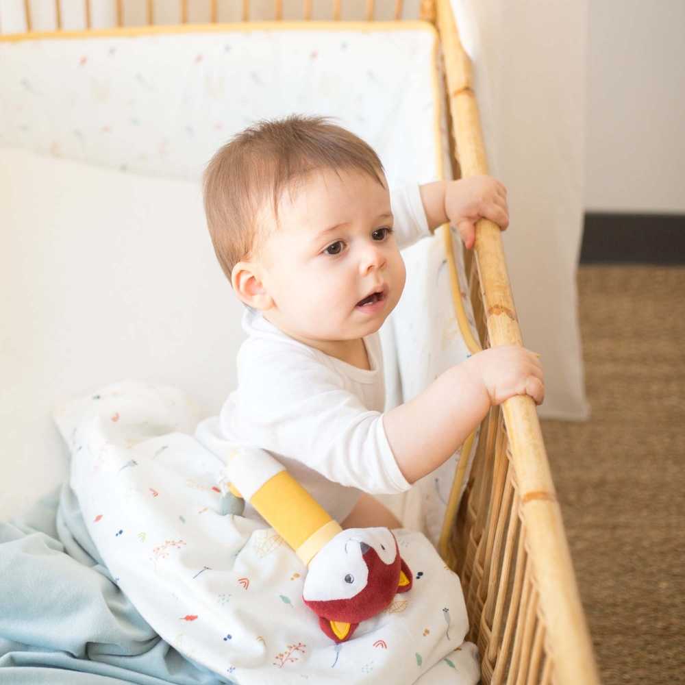 Bebé na cama com a sua manta e a sua roca em forma de raposa