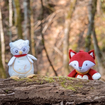 knuffel uil en de knuffel vos in scène gezet in het bos achter een boom knuffel uil en de knuffel vos in scène gezet in het bos achter een boom