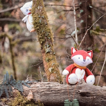 Muzikale knuffel uil verstopt achter de boom om de vos te observeren Muzikale knuffel uil verstopt achter de boom om de vos te observeren