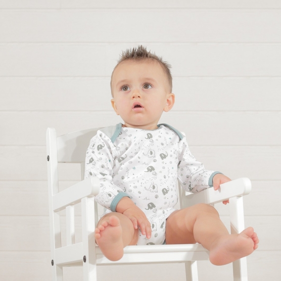 Set of 2 bodysuits - Green...