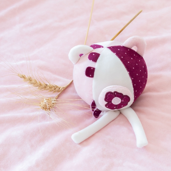 Pelota de actividades - "Kipic & Olga"