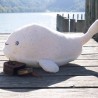 peluche baleine au bord de l'eau