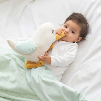 staging of milky green baby blanket au large de nova