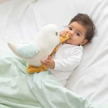 Fotografia de ambiente da manta para bebé Milky Green Au large de Nova Fotografia de ambiente da manta para bebé Milky Green Au large de Nova