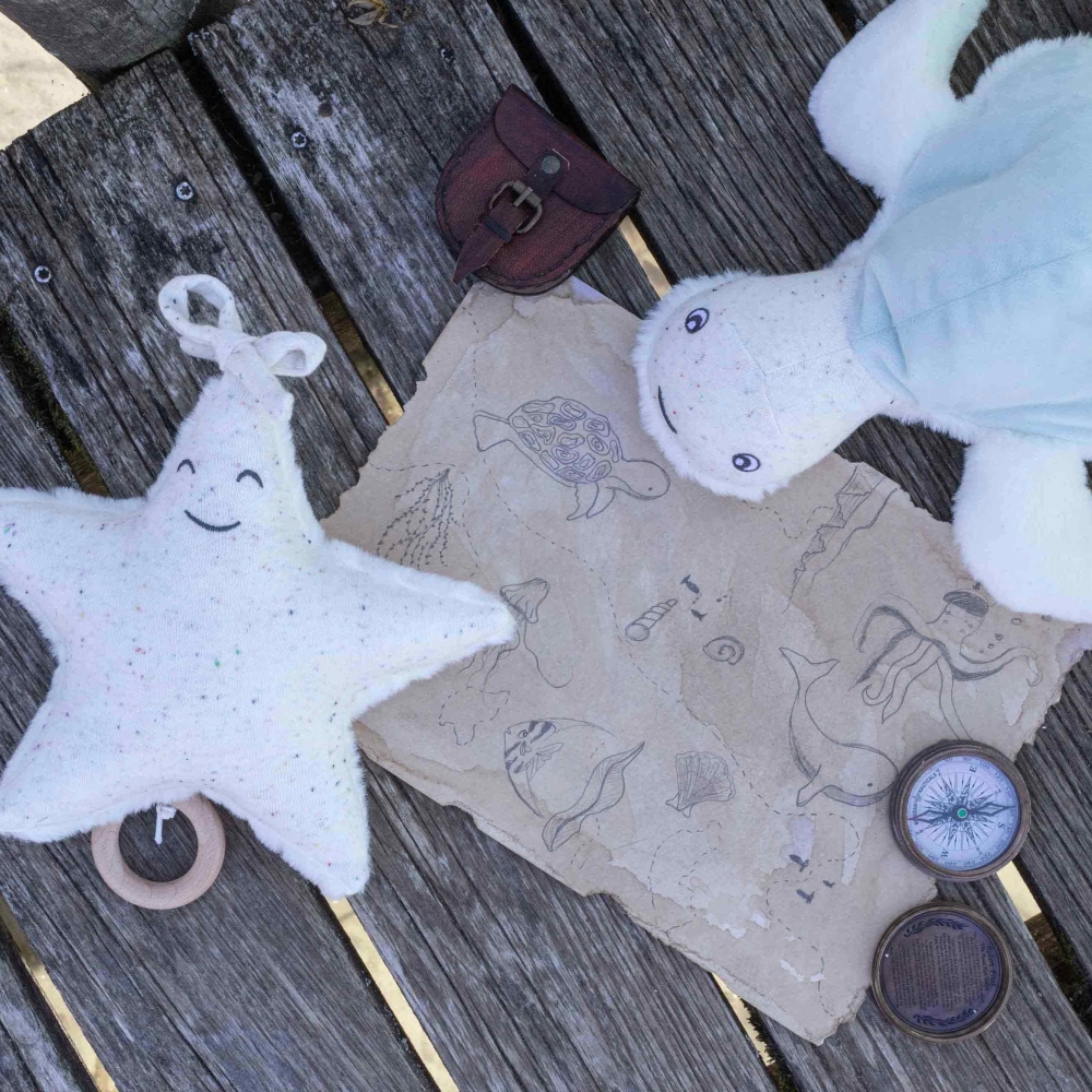 Seestern und Meeresschildkröte auf einem Steg