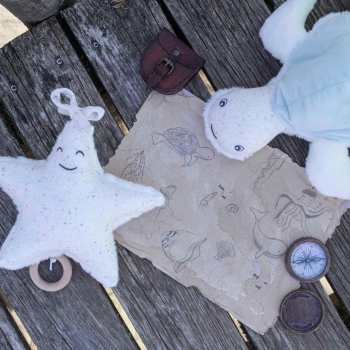 Seestern und Meeresschildkröte auf einem Steg