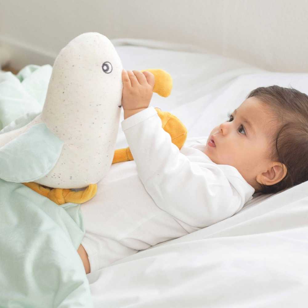Bebé com peluche musical Ao largo de Nova Bebé com peluche musical Ao largo de Nova