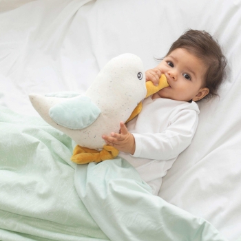 Gaviota musical Au large de Nova Gaviota musical Au large de Nova