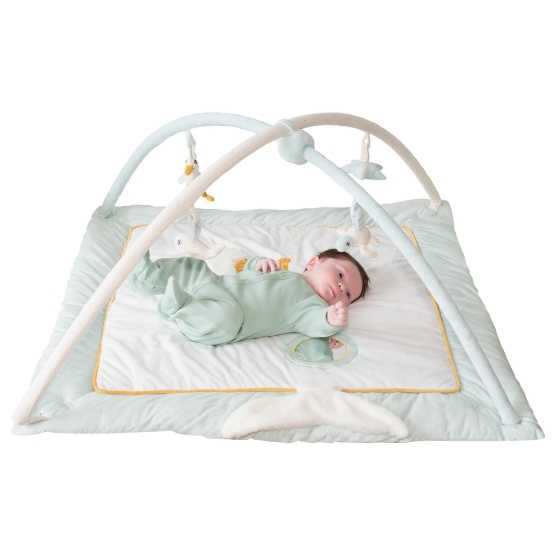 Newborn on an activity mat with an activity arch