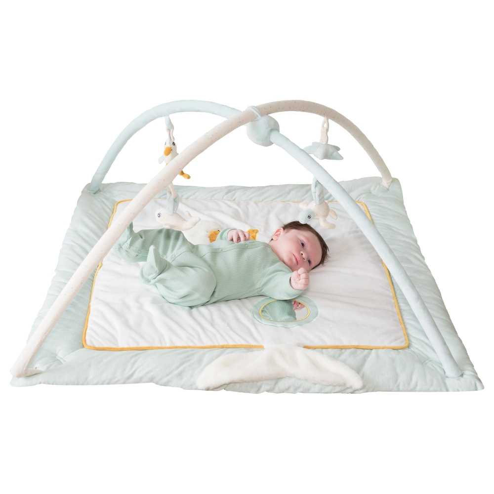 Newborn on an activity mat with an activity arch Newborn on an activity mat with an activity arch