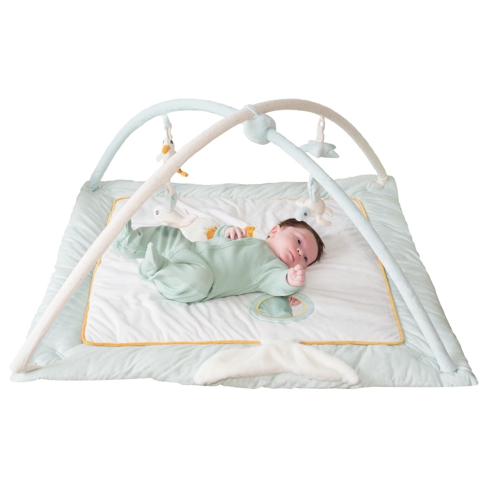 Newborn on an activity mat with an activity arch