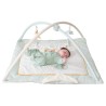 Newborn on an activity mat with an activity arch Newborn on an activity mat with an activity arch