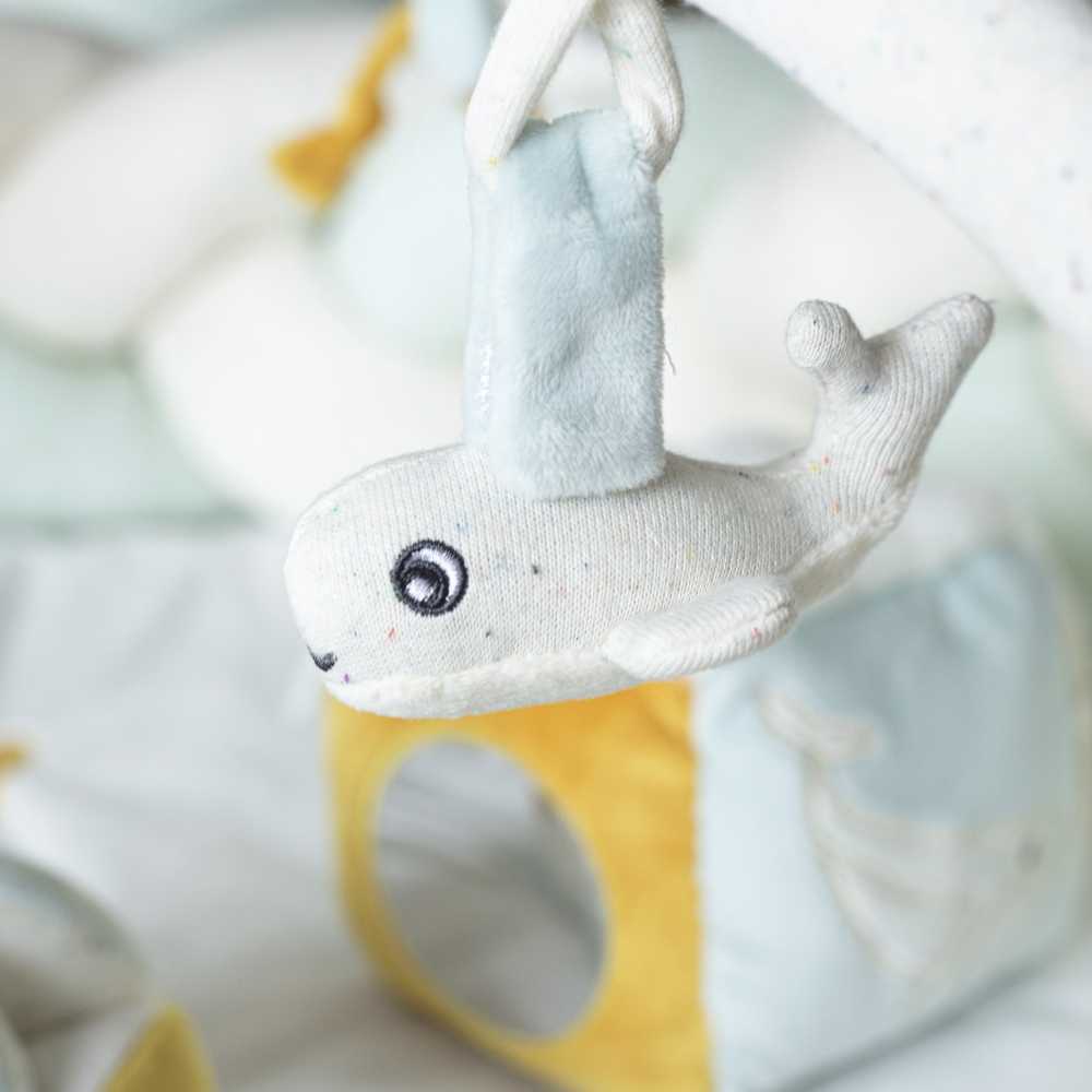 Close-up van de sensorische walvis