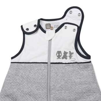 saco-cama para recém-nascido - fecho com molas de pressão e fecho de correr - coleção Martim e os seus amigos saco-cama para recém-nascido - fecho com molas de pressão e fecho de correr - coleção Martim e os seus amigos