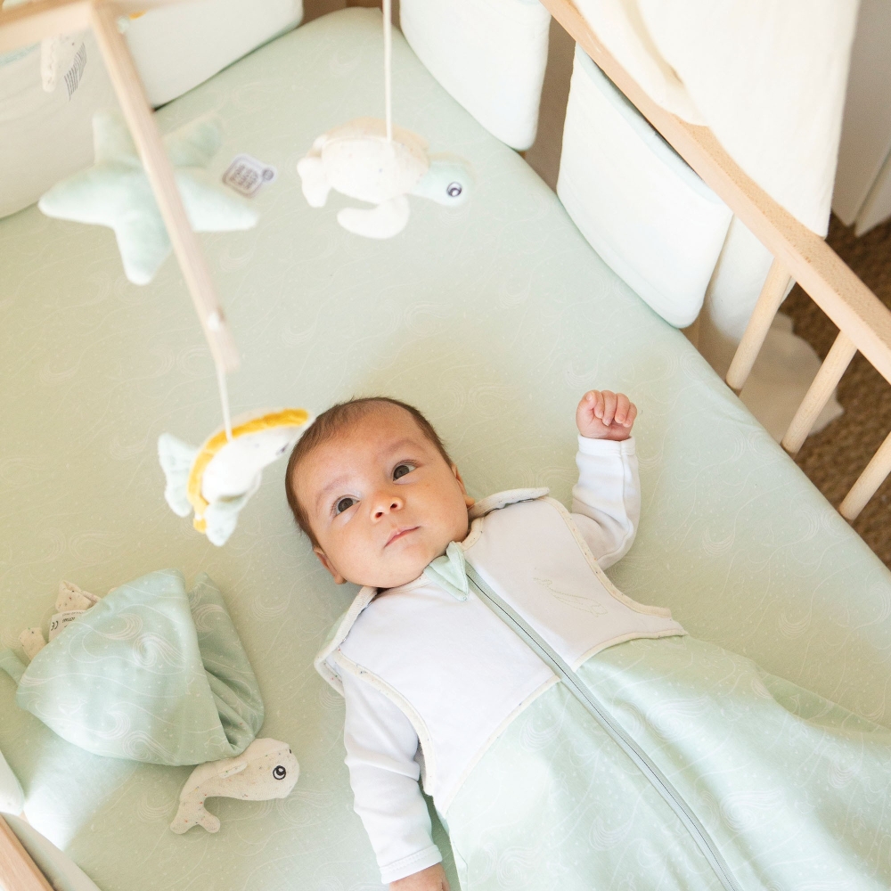 bambino nel suo sacco nanna verde acqua al largo di nova bambino nel suo sacco nanna verde acqua al largo di nova
