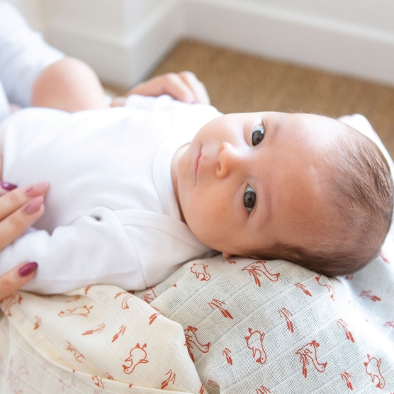 Set of diapers with small geese