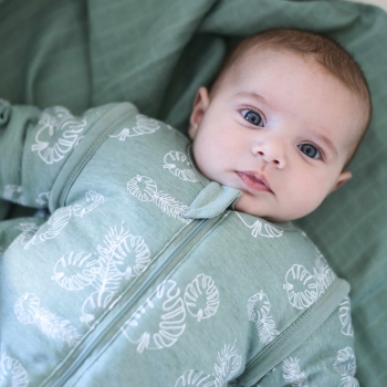 Bébé éveillé dans sa gigoteuse verte à manches Bébé éveillé dans sa gigoteuse verte à manches