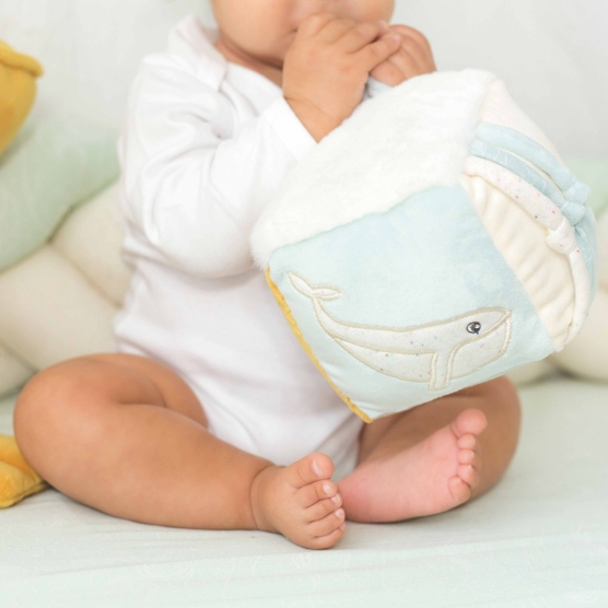 6-sided developmental cube with whale tail