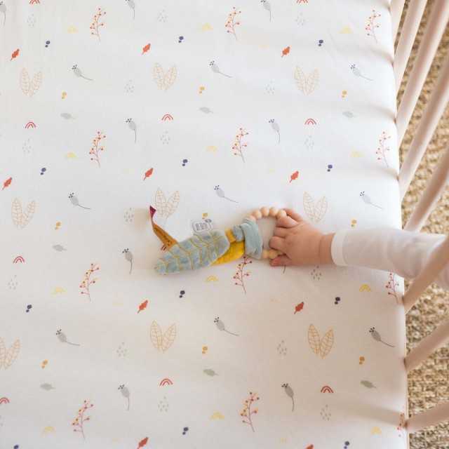 Fornecedor de lençóis para cama de bebé — lençol de elástico / lençol de cima
