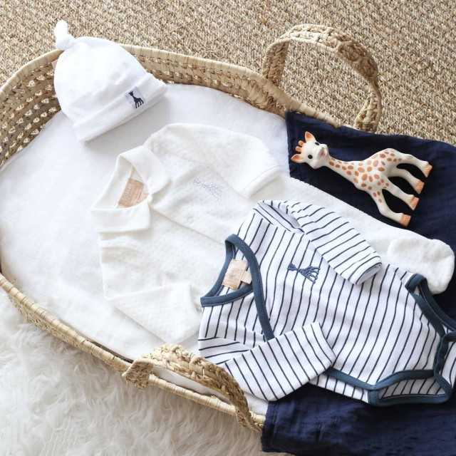 Proveedor Licencia Sophie La Girafe