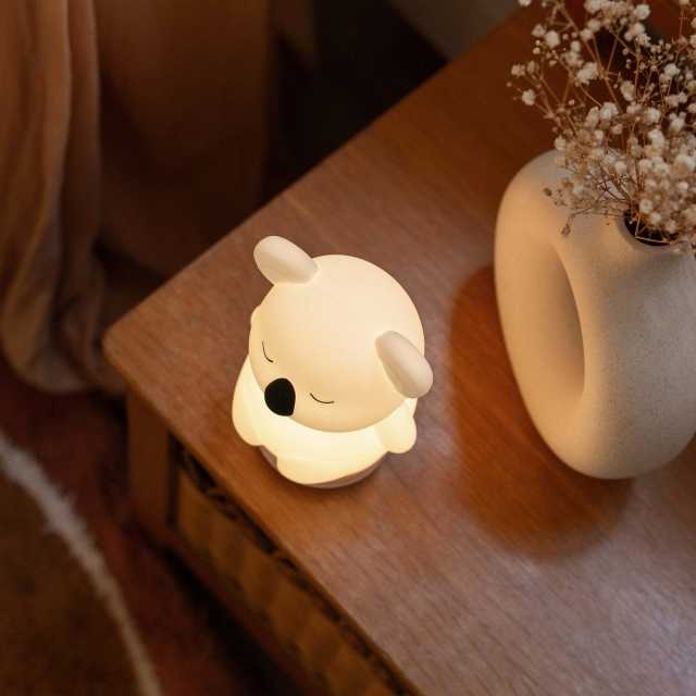 Fornecedor de luzes de presença para bebés